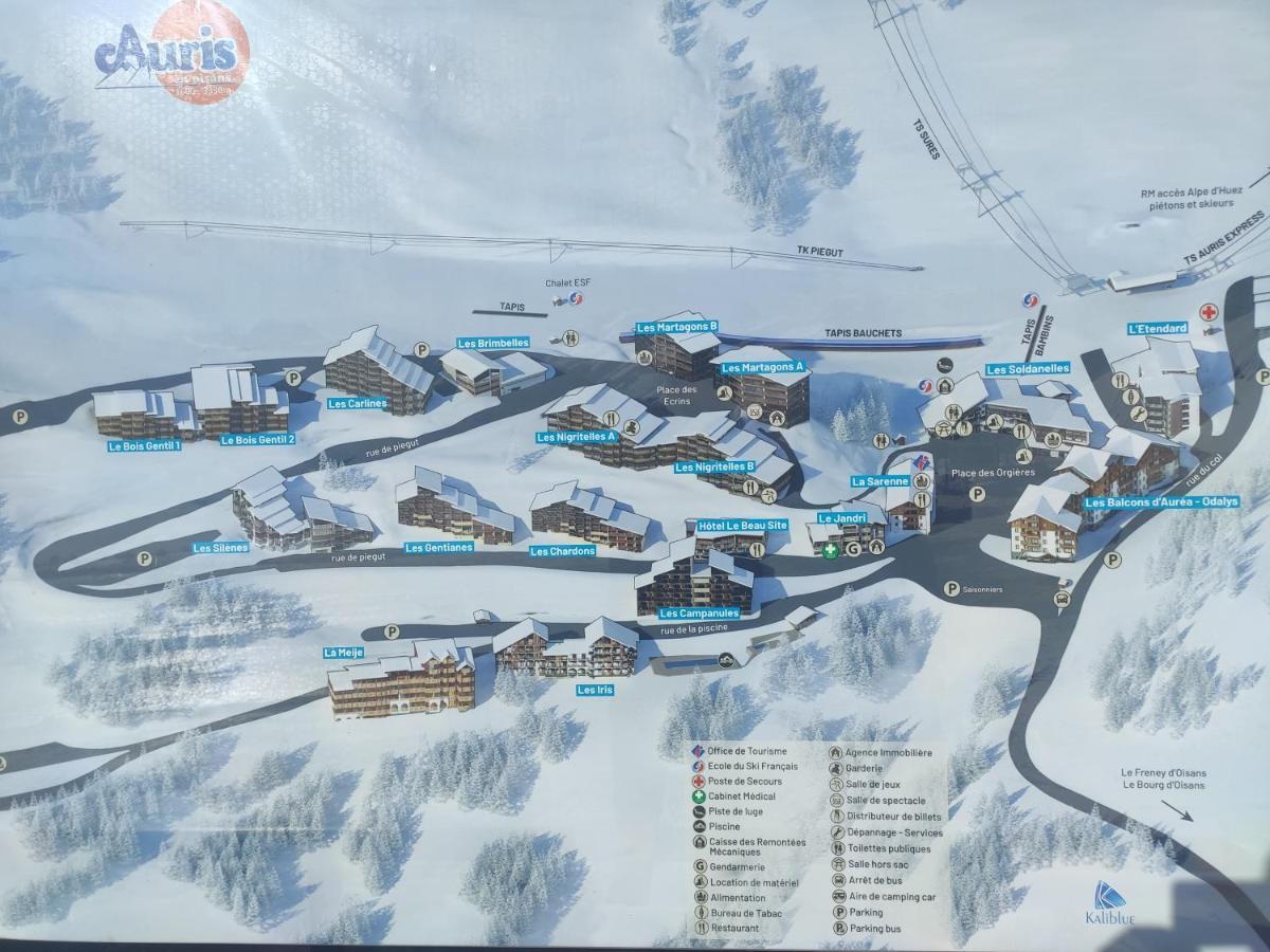Les Iris T2 Station Alpe Huez Apartment Auris Exterior photo